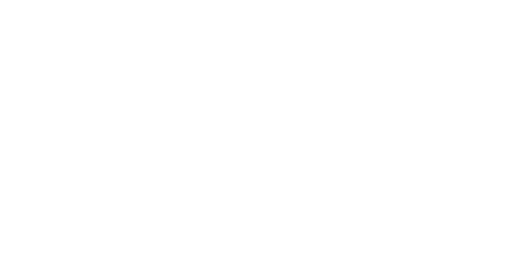 BVS Consulting — Accueil